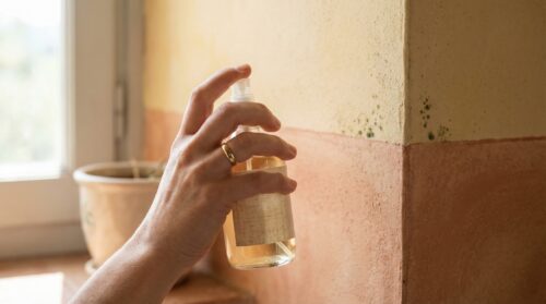 Muffa sul muro dipinto: la regola dei 15 minuti con questo prodotto dell'armadio salva il tuo colore